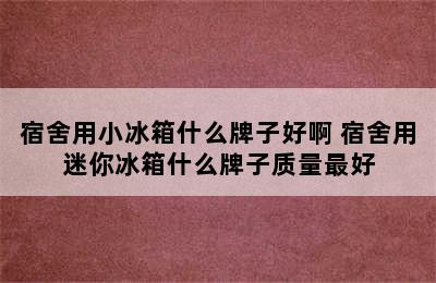 宿舍用小冰箱什么牌子好啊 宿舍用迷你冰箱什么牌子质量最好